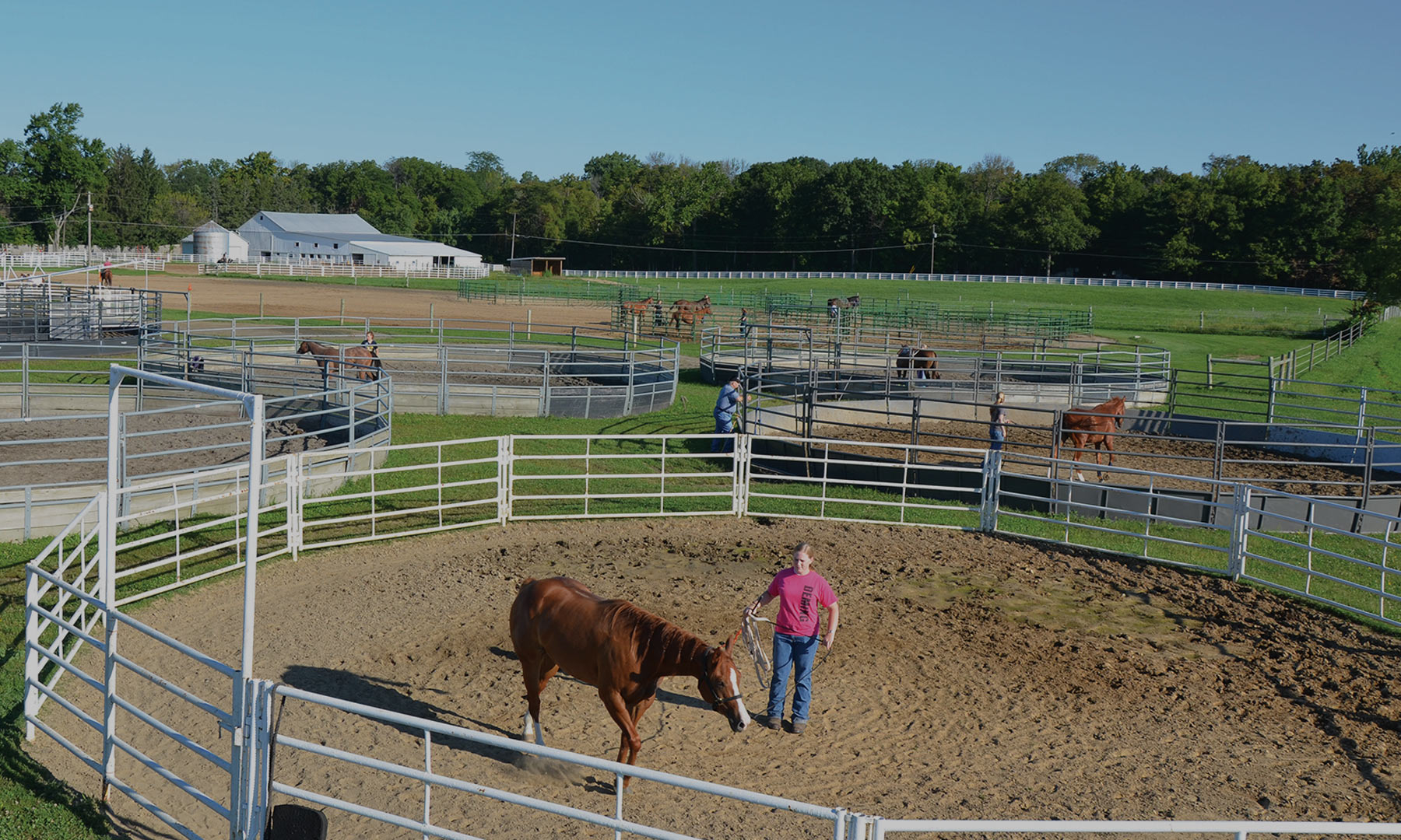 Western Equestrian Header Image
